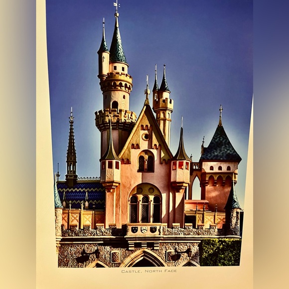 Disney World Cinderellas Castle North Face Art Print 15.5” x 11” - Picture 2 of 6